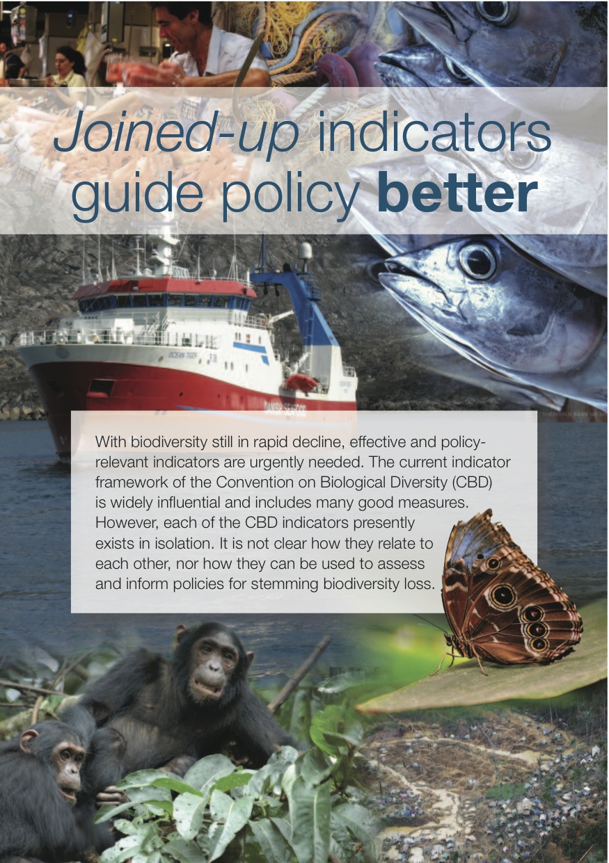 Joined-up indicators guide policy better